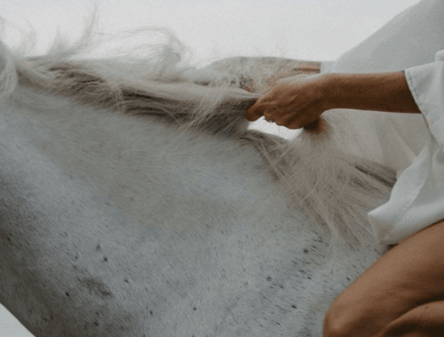 Conto erótico do amanhã