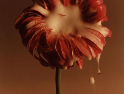 Dia Internacional da Mulher