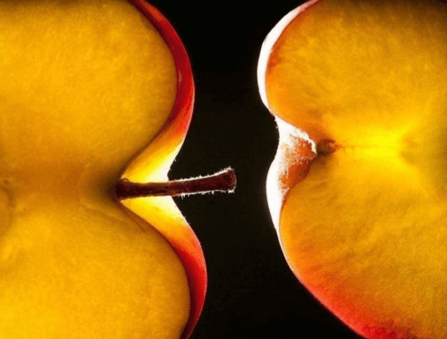 Dildo de Ventosa: onde você pode prender para usar eles