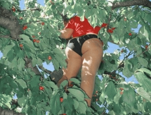 Plug anal: como usar e aproveitar