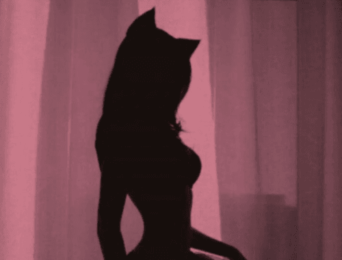 Para saber: o que é furry e petplay