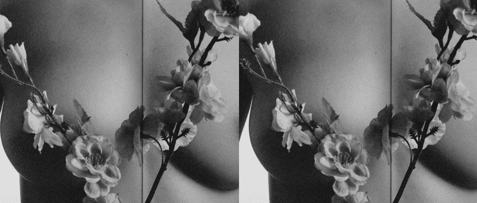 I’m like a lonely bird