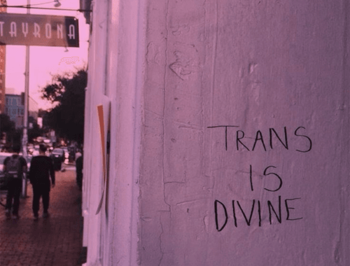 Visibilidade trans: expanda suas referências!