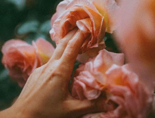 Para cada problema no sexo uma solução da Exclusiva!