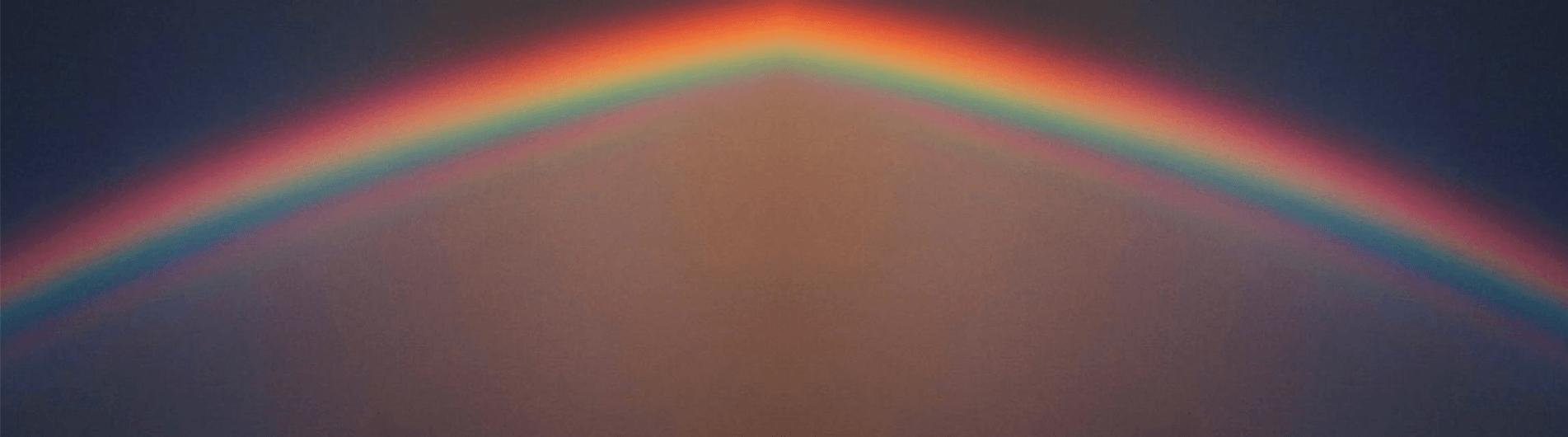 Orgulho LGBTQIAPN+: processos e desafios da Autodescoberta