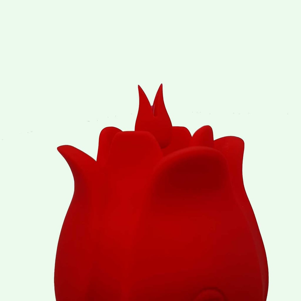 Estimulador de Clitóris Recarregável no Formato de Rosa com 10 Modos de Vibrações - Man Ting Hua | Disponível em 2 Cores - 5