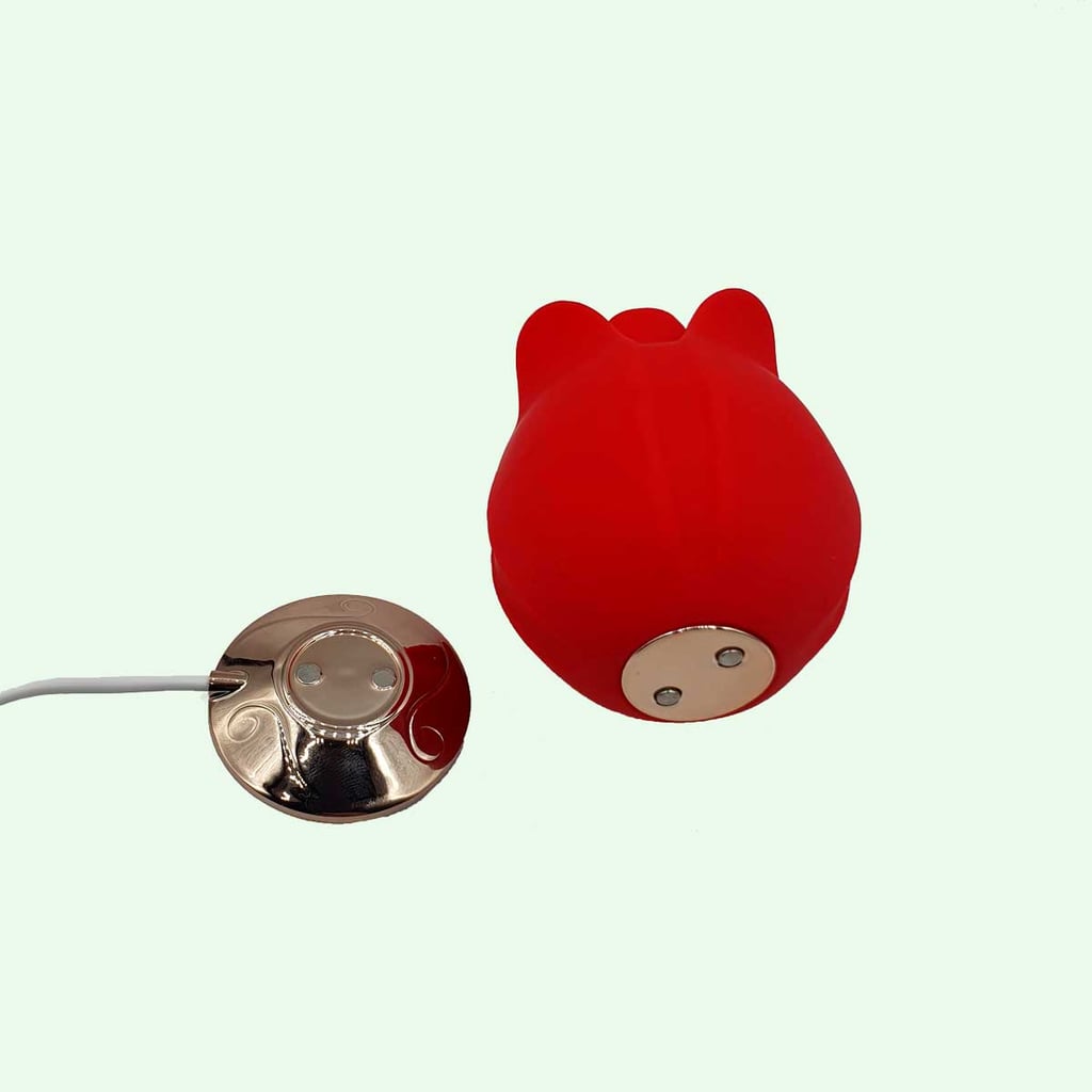 Estimulador de Clitóris Recarregável no Formato de Rosa com 10 Modos de Vibrações - Man Ting Hua | Disponível em 2 Cores - 4