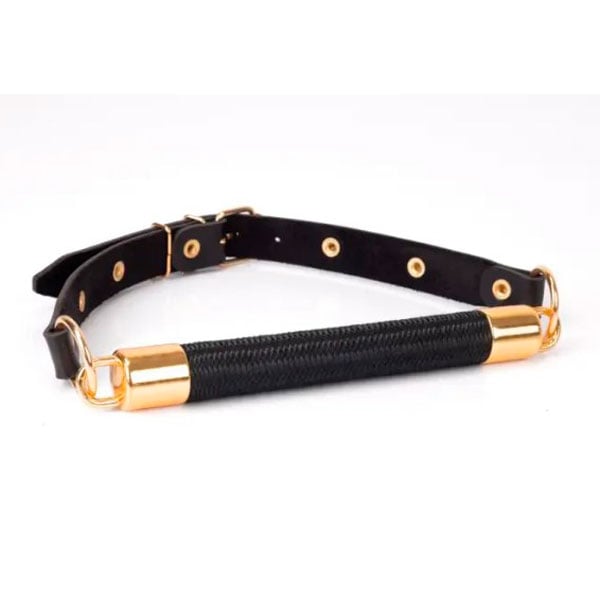 Mordaça em Forma de Bastão Top Gold com Fivela Ajustável | New Star Couros - 2