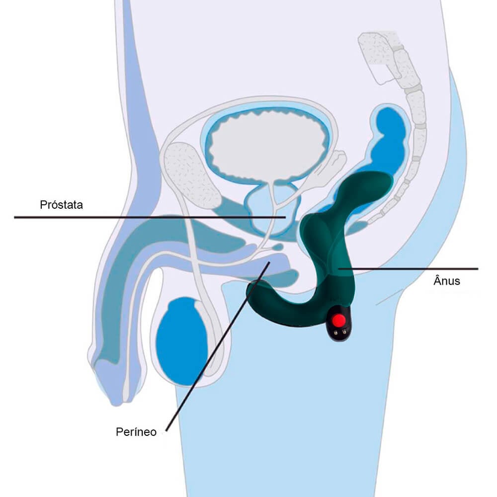 Vibrador Massageador de Próstata Recarregável com Formato Ergonômico e 5 Modos de Vibração - Fun Factory Duke | 15,5 x 2,7 cm | Disponível em 2 Cores - 10