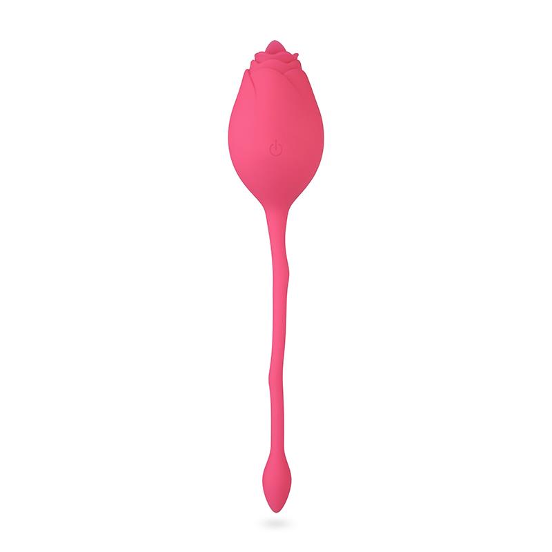 Imgem do produto