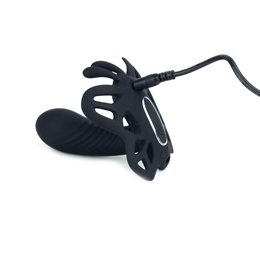 Foto 8 do produto Estimulador Clitoriano em Forma de Borboleta com Mini Pênis, 12 Modos de Vibração e Controle Remoto sem Fio - Pretty Love | Disponível em 2 Cores