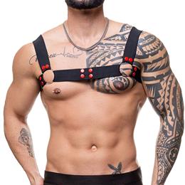 Arreio Harness Elástico com Argolas e Botões Vermelhos - Steves Designer