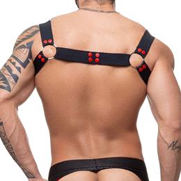 Arreio Harness Elástico com Argolas e Botões Vermelhos - Steves Designer