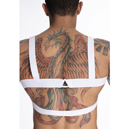 Steves Designer - Arreio Harness em Elástico com Fecho de Plástico