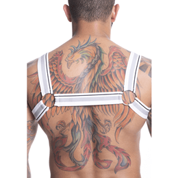 Steves Designer - Arreio Harness Feito em Elástico Tricolor e Argolas