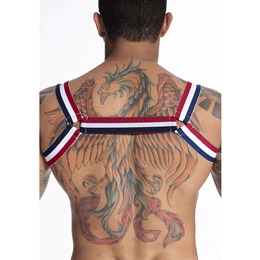Steves Designer - Arreio Harness Masculino em Elástico com Argola em Triângulo | Cor: Tricolor