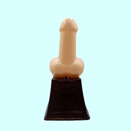 Troféu Erótico com Pênis Decorativo - FestaChic | Disponível em 4 Cores