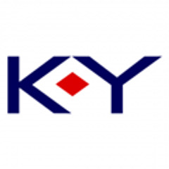 Logo da marca K-Y