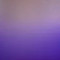 Bicolor Prata com Roxo