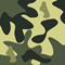 Cor Camuflado