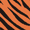 Tigre