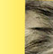 Cor Dourado com Preto e Bege