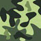 Cor Verde Musgo Camuflado