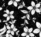Cor Preto com Flores
