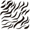 Cor Zebra
