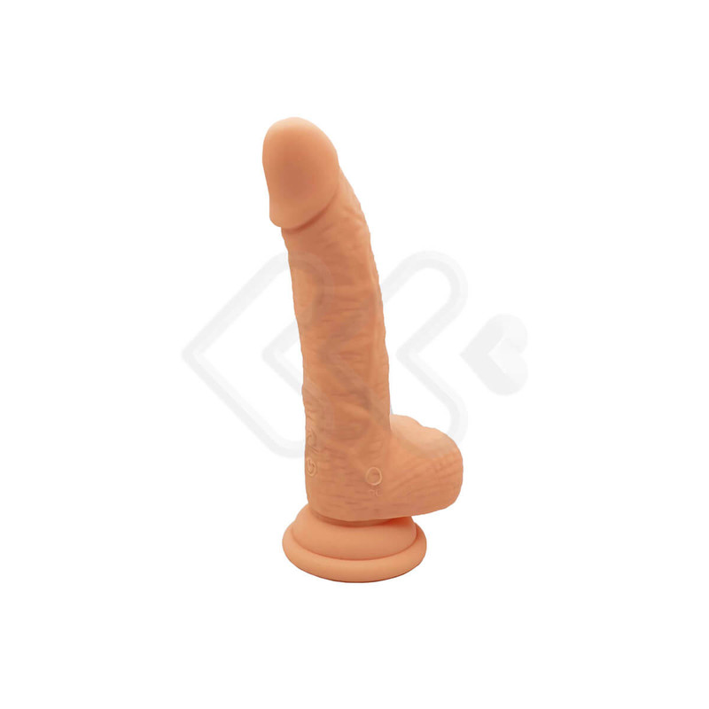 Imgem do produto