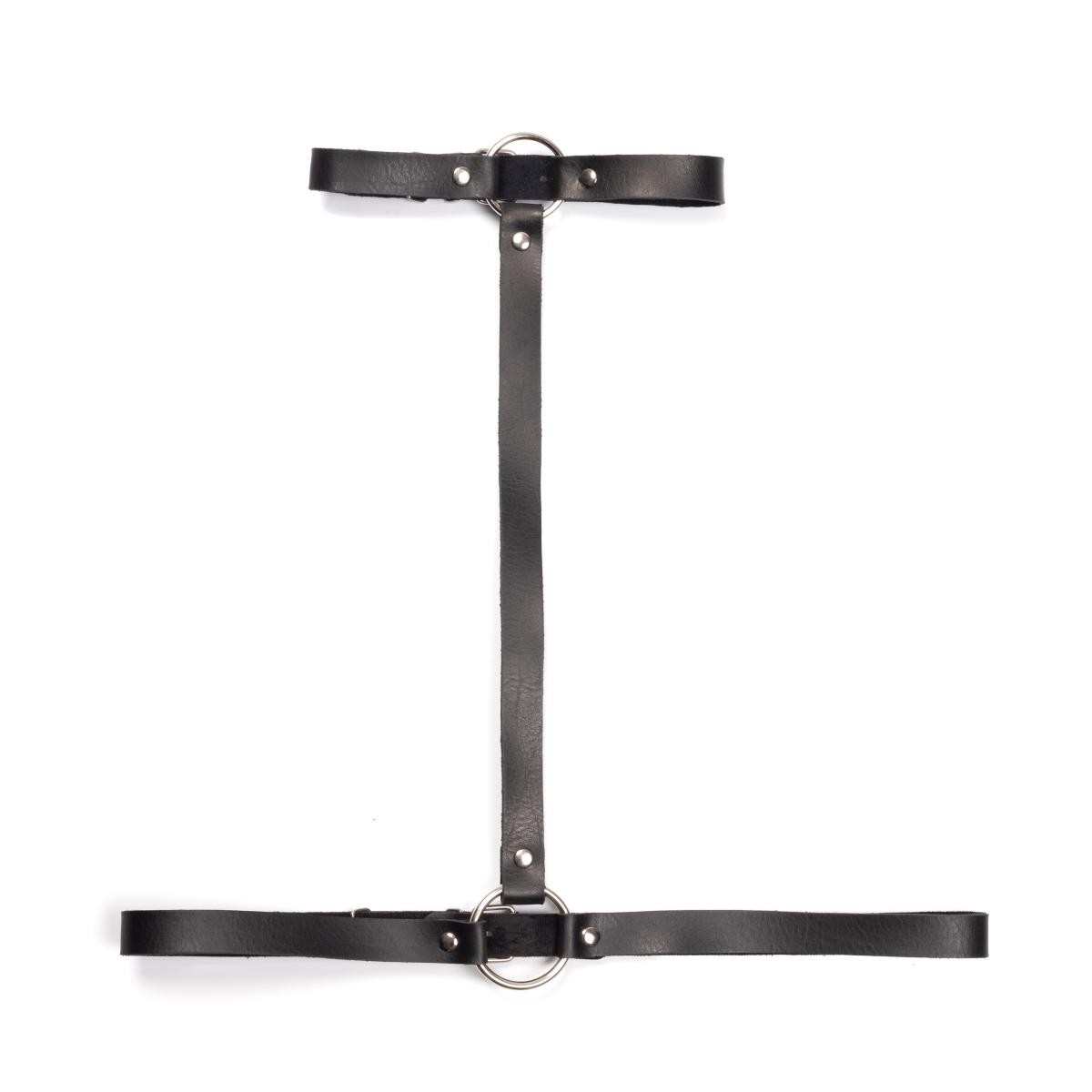 Arreio Feminino Eudora em Couro Montana com Argolas, Rebites e Fivelas de Regulagem - New Star Couros - 2