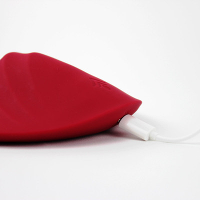 Foto 5 do produto Base Vibratória Estimuladora de Clitóris em Silicone com 9 Modos de Vibração e Carregamento Via Cabo USB - S-Hande Love Pad | 27 x 15 cm