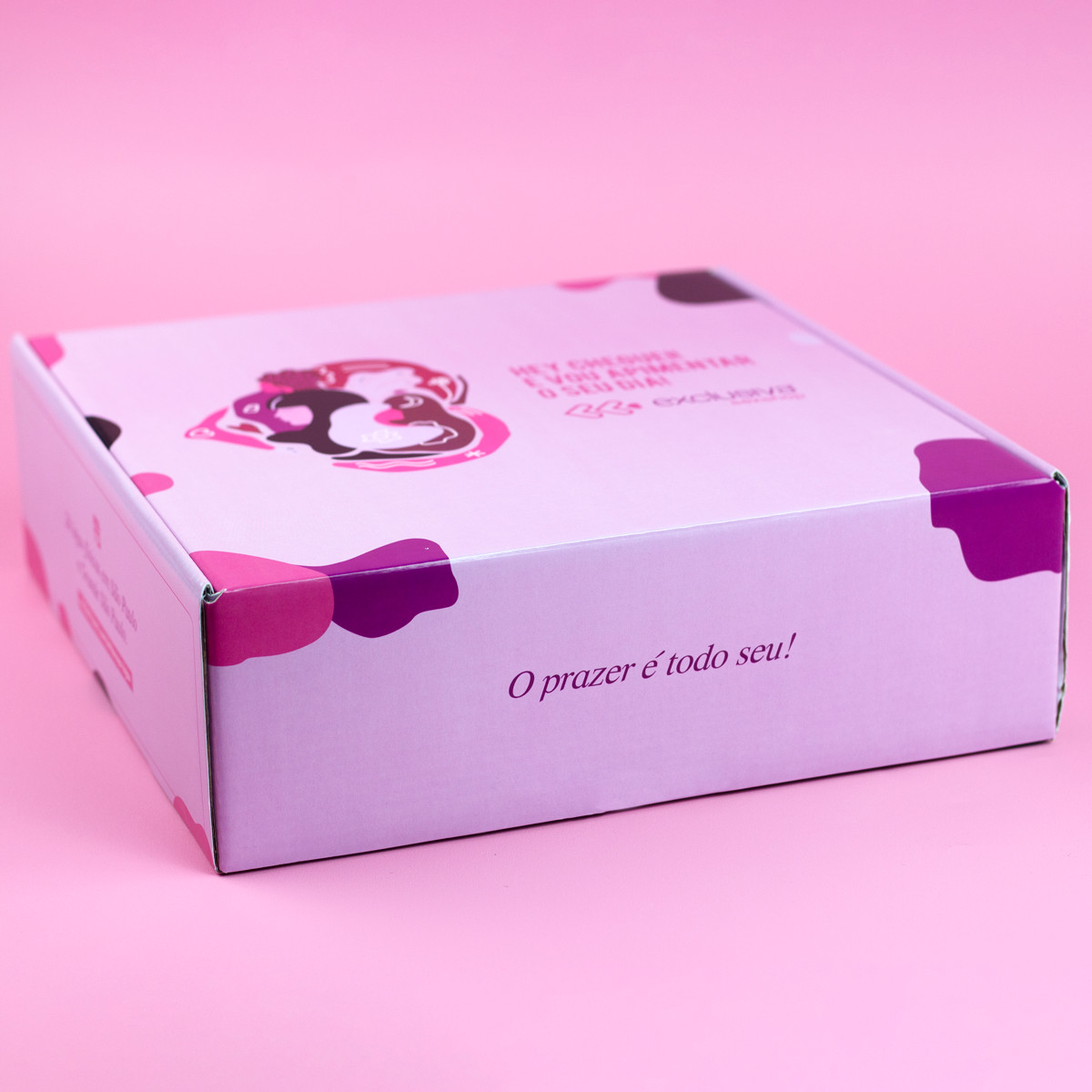 Caixa para Presente Retangular em Papelão - Exclusiva O Prazer é Todo Seu | 9,7 x 30,2 x 30,5 cm - 3