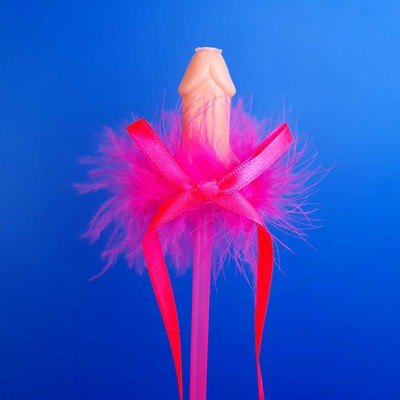 Foto 2 do produto Canudo Varinha Mágica com Pluma, Laço e Mini Pênis Decorativo - FestaChic