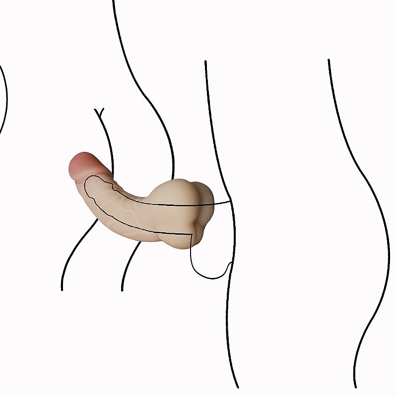 Capa Peniana Flexível em TPE Macia com Glande Definida e Escroto - SI | 13 x 3,2 cm - 5