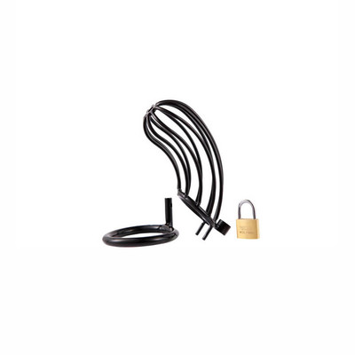 Foto 8 do produto Cinto de Castidade Masculino em Aço com Anel para Escroto e Cadeado - Male Chastity Device - 11,9 x 4,4 cm | Disponível em 2 Cores