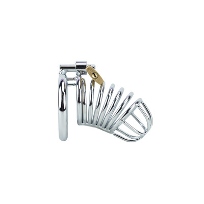 Foto 2 do produto Cinto de Castidade Masculino em Aço com Anel para Escroto Vazado - Sexy Import | Disponível em 2 Cores e 3 Tamanhos