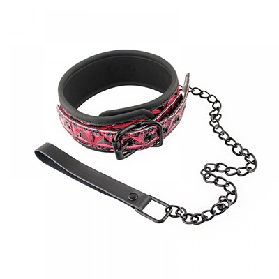 Foto 2 do produto Coleira com Fivela e Guia - Collar With Leash | Disponível em 3 Cores