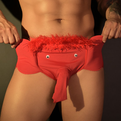 Cueca Elefante - Exclusiva Lingerie | Disponível em 3 Tamanhos
