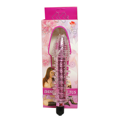 Dancing Cactus - Vibrador Personal com Capa Peniana de Silicone com Nódulos Massageadores e Vibração Única - 17 x 2,5 CM | Cor: Rosa