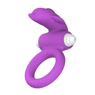 Foto 1 do produto Anel Peniano com Estimulador Clitoriano em Formato de Golfinho e Vibração Única - Dolphin Cock Ring | Disponível em 2 Cores