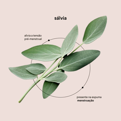 Foto 2 do produto Espuma de Higiene Íntima Suave com Óleo Essencial de Sálvia - NUAÁ Menstruação | 150 ml