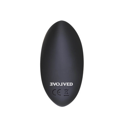 Foto 8 do produto Vibrador em Silicone com 7 Modos de Vibração, Controle Remoto sem Fio e Calcinha em Tule Transparente - Evolved Hidden Pleasure