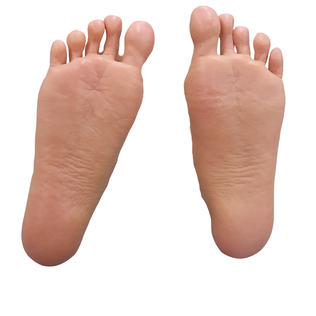 Hailey - Boneca Realística em Silicone com Cabelos Longos, Olhos Verdes, Seios Fartos, Vértebras em Aço e Demais Acessórios - Real Lady | 31 kg e 1,59 Metros de Altura - 14