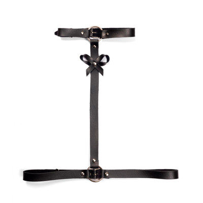Foto 2 do produto Harness Peitoral com Lacinho | New Star Couros