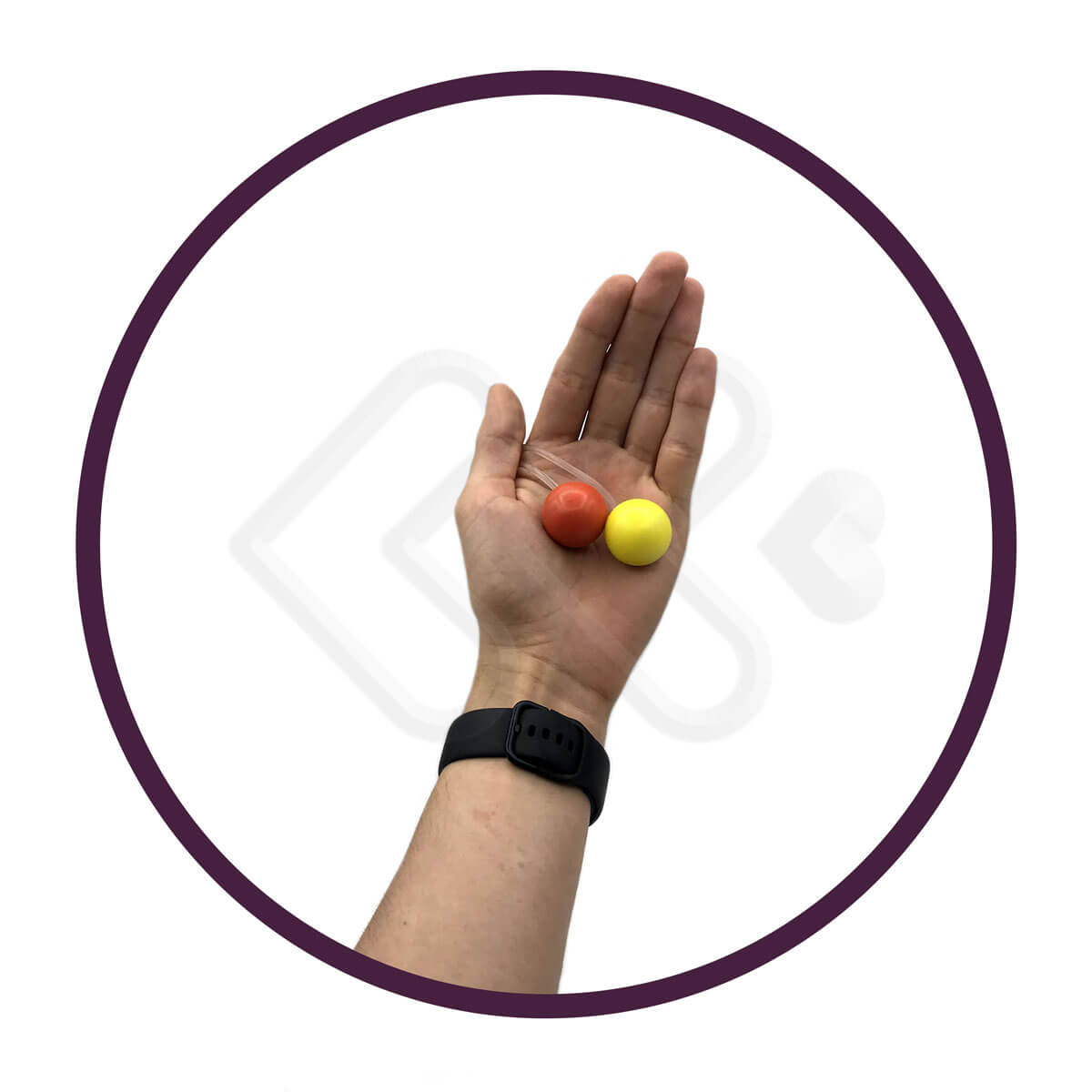 Kit com 2 Bolinhas de Ben Wa para Pompoarismo - Hot Flowers Bendell | Tamanho P - 3