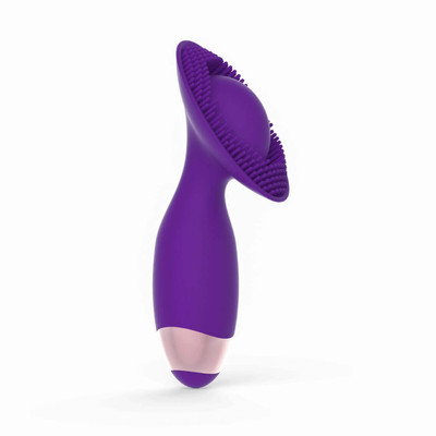 Foto 1 do produto Escova Estimuladora de Clitóris em Silicone com Cerdas Massageadoras e 10 Modos de Vibração - Intt Sexy Funny Items - 14,5 x 3,5 cm | Cor: Roxo
