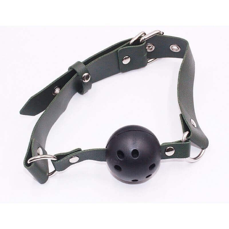 Kit Bondage - Kit Aeronáutica Sexy com Algema, Tornozeleira, Coleira, Venda, Guia, Chicote e Mordaça - Contém 7 Itens - 7