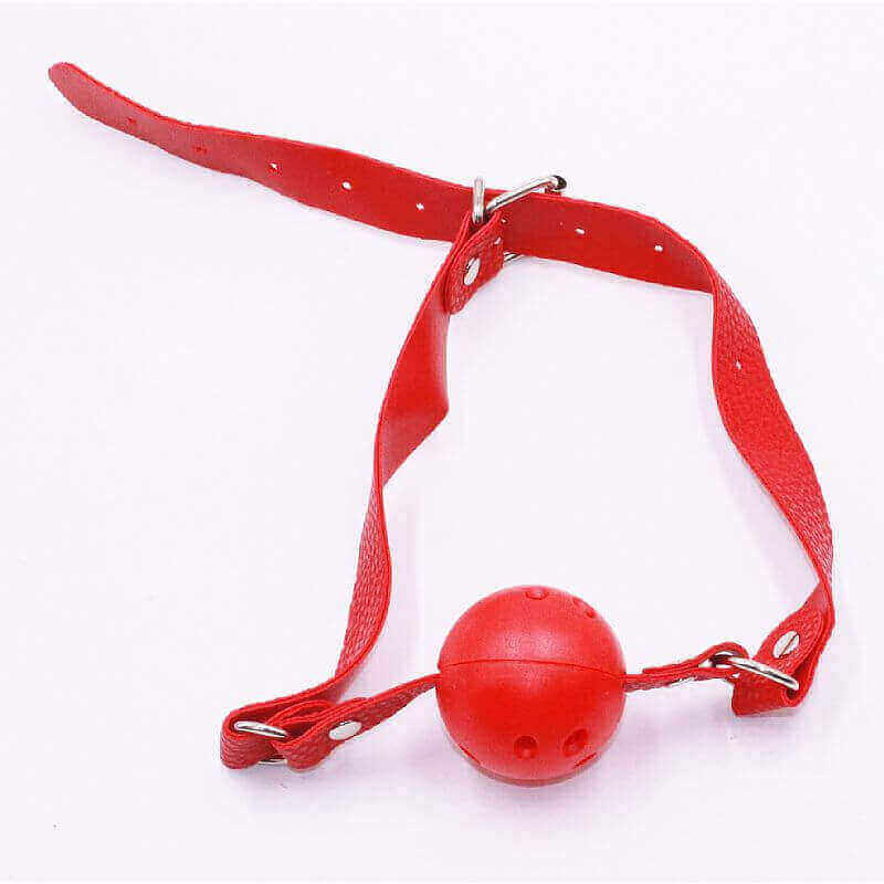 Kit Bondage - Kit com Algema, Tornozeleira, Coleira, Venda, Guia, Chicote e Mordaça - Contém 7 Itens | Cor: Vermelho - 10