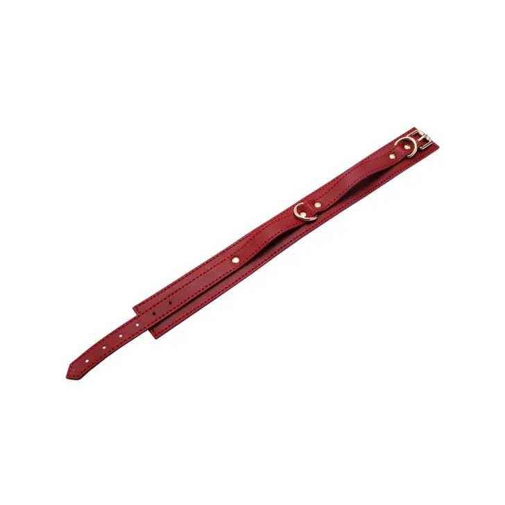 Kit Sado de Luxo com 7 Acessórios em Couro Sintético - Bondage Kits I Would Give It All To Not Be Sleeping Alone | Disponivel em 3 Cores - 39